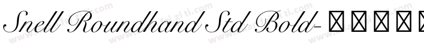 Snell Roundhand Std Bold字体转换